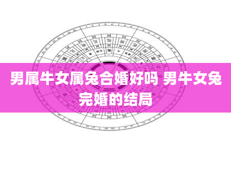 男属牛女属兔合婚好吗 男牛女兔完婚的结局