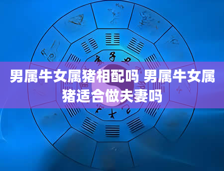 男属牛女属猪相配吗 男属牛女属猪适合做夫妻吗