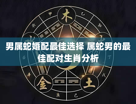 男属蛇婚配最佳选择 属蛇男的最佳配对生肖分析
