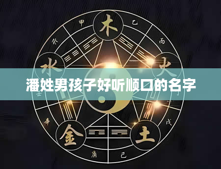 潘姓男孩子好听顺口的名字