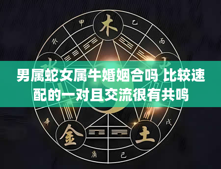 男属蛇女属牛婚姻合吗 比较速配的一对且交流很有共鸣