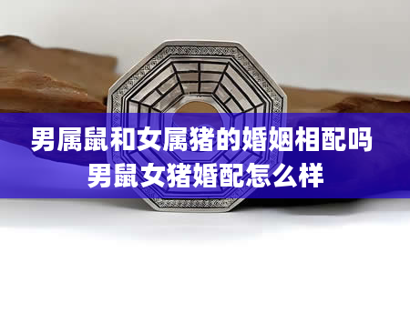 男属鼠和女属猪的婚姻相配吗 男鼠女猪婚配怎么样