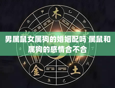 男属鼠女属狗的婚姻配吗 属鼠和属狗的感情合不合