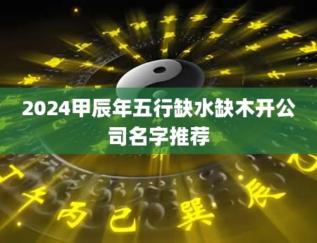 2024甲辰年五行缺水缺木开公司名字推荐