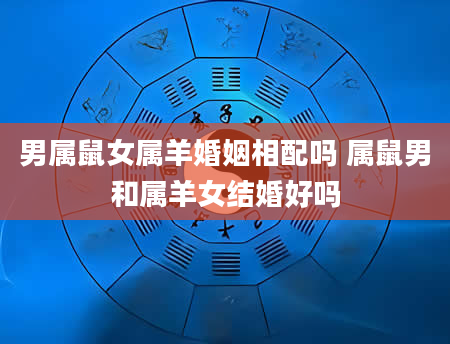 男属鼠女属羊婚姻相配吗 属鼠男和属羊女结婚好吗