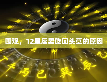 围观，12星座男吃回头草的原因