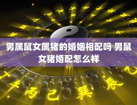 男属鼠女属猪的婚姻相配吗 男鼠女猪婚配怎么样