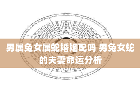 男属兔女属蛇婚姻配吗 男兔女蛇的夫妻命运分析