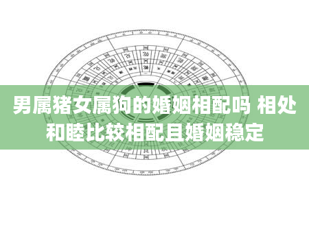 男属猪女属狗的婚姻相配吗 相处和睦比较相配且婚姻稳定