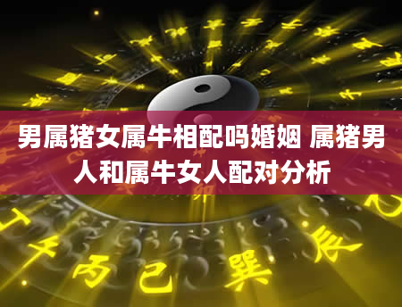 男属猪女属牛相配吗婚姻 属猪男人和属牛女人配对分析