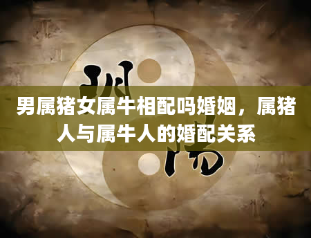 男属猪女属牛相配吗婚姻，属猪人与属牛人的婚配关系