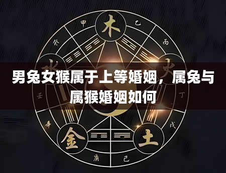 男兔女猴属于上等婚姻，属兔与属猴婚姻如何