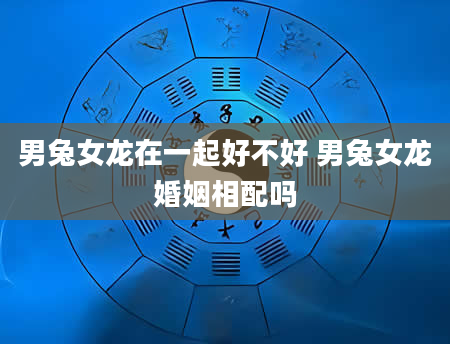 男兔女龙在一起好不好 男兔女龙婚姻相配吗