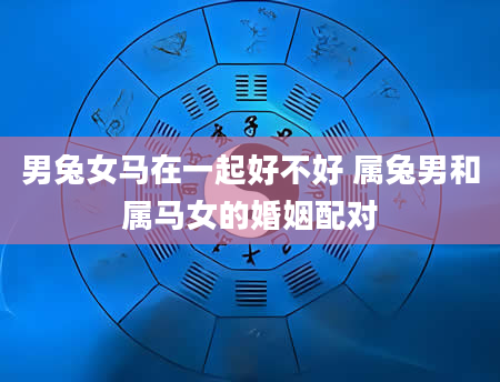 男兔女马在一起好不好 属兔男和属马女的婚姻配对