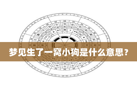 梦见生了一窝小狗是什么意思？