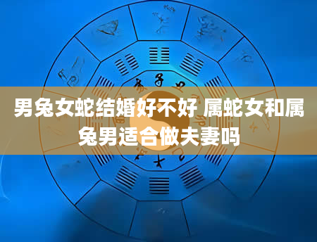 男兔女蛇结婚好不好 属蛇女和属兔男适合做夫妻吗