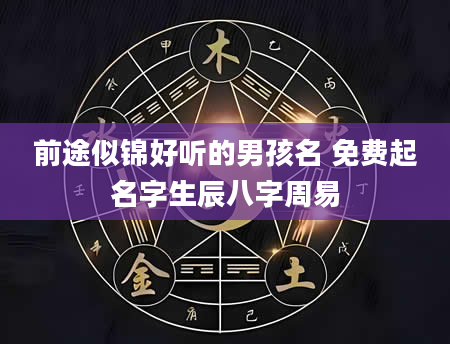 前途似锦好听的男孩名 免费起名字生辰八字周易