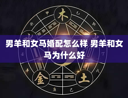 男羊和女马婚配怎么样 男羊和女马为什么好