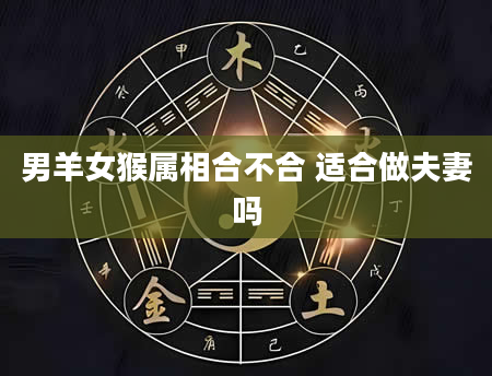 男羊女猴属相合不合 适合做夫妻吗