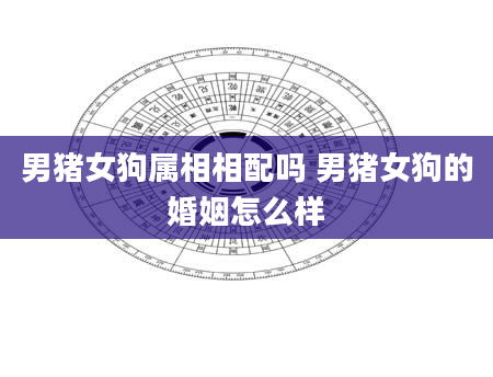 男猪女狗属相相配吗 男猪女狗的婚姻怎么样