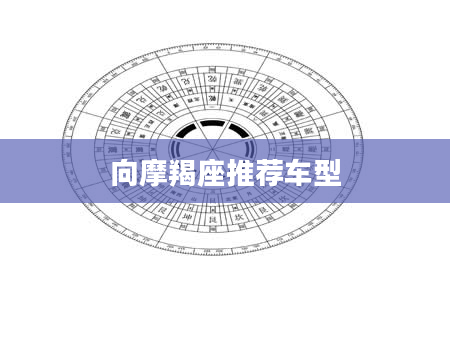 向摩羯座推荐车型