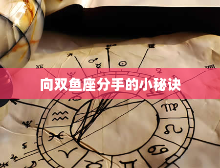向双鱼座分手的小秘诀