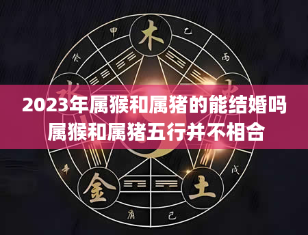 2023年属猴和属猪的能结婚吗 属猴和属猪五行并不相合