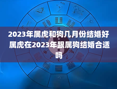 2023年属虎和狗几月份结婚好 属虎在2023年跟属狗结婚合适吗