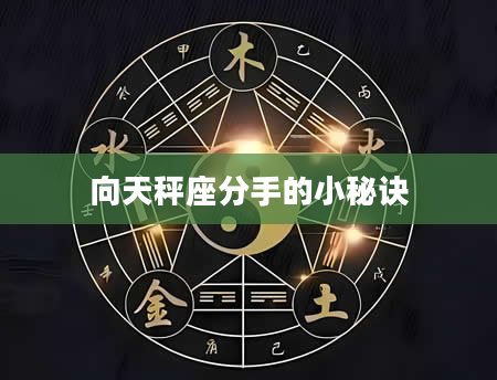 向天秤座分手的小秘诀