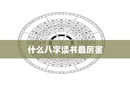 什么八字读书最厉害