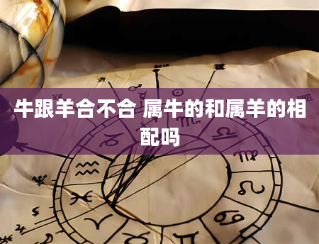 牛跟羊合不合 属牛的和属羊的相配吗