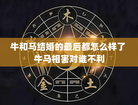 牛和马结婚的最后都怎么样了 牛马相害对谁不利