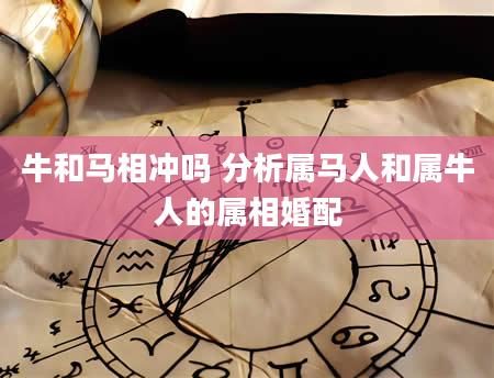 牛和马相冲吗 分析属马人和属牛人的属相婚配