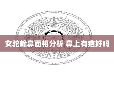 女驼峰鼻面相分析 鼻上有疤好吗