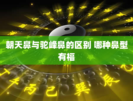 朝天鼻与驼峰鼻的区别 哪种鼻型有福