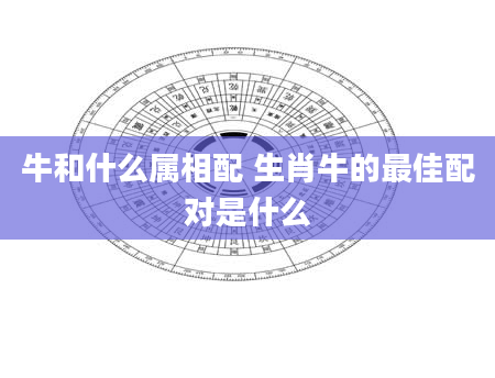 牛和什么属相配 生肖牛的最佳配对是什么