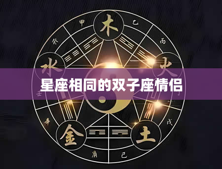 星座相同的双子座情侣