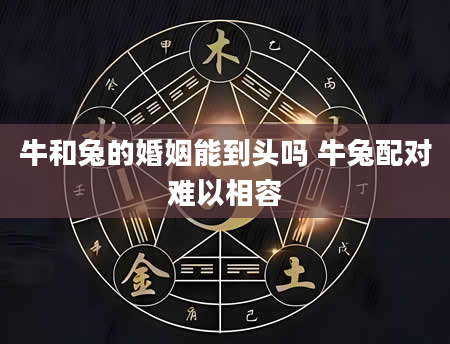 牛和兔的婚姻能到头吗 牛兔配对难以相容
