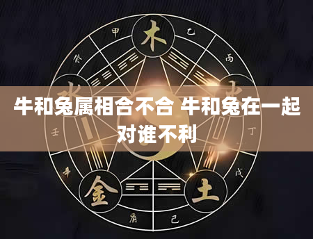 牛和兔属相合不合 牛和兔在一起对谁不利