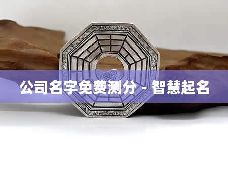 公司名字免费测分 - 智慧起名