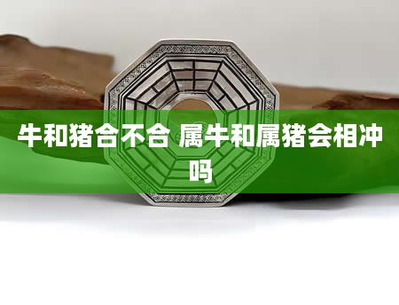 牛和猪合不合 属牛和属猪会相冲吗
