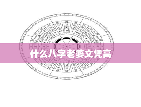 什么八字老婆文凭高