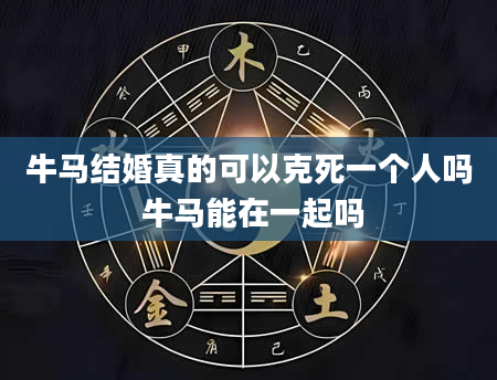 牛马结婚真的可以克死一个人吗 牛马能在一起吗