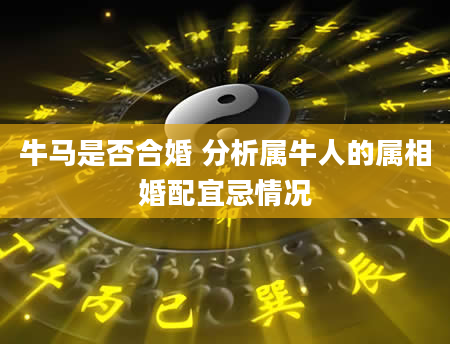 牛马是否合婚 分析属牛人的属相婚配宜忌情况