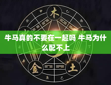 牛马真的不要在一起吗 牛马为什么配不上