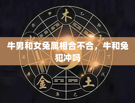 牛男和女兔属相合不合，牛和兔犯冲吗