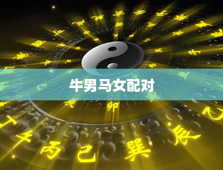 牛男马女配对