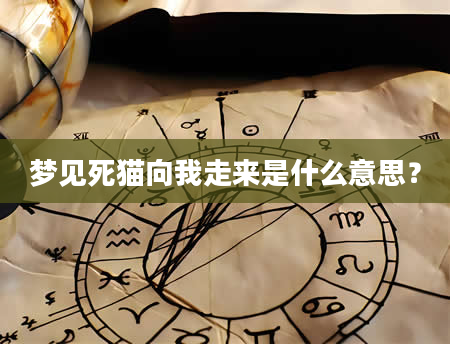 梦见死猫向我走来是什么意思？