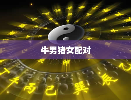 牛男猪女配对