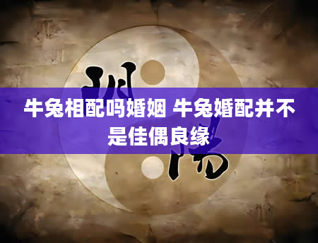 牛兔相配吗婚姻 牛兔婚配并不是佳偶良缘